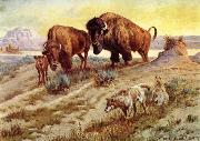 unknow artist Buffalo Family Spain oil painting artist